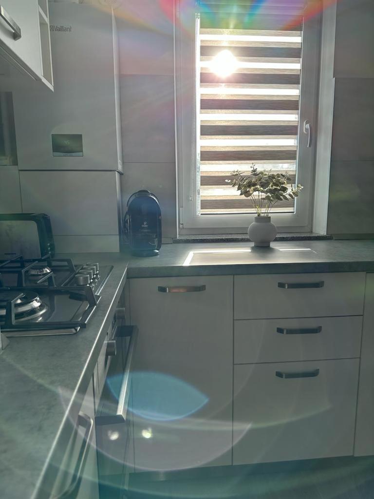 Cozy Studios In 苏恰瓦 外观 照片